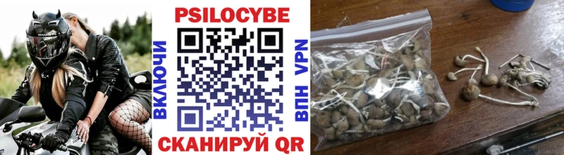 Купить где  Узловая  Псилоцибиновые грибы GOLDEN TEACHER 